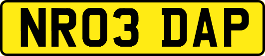 NR03DAP