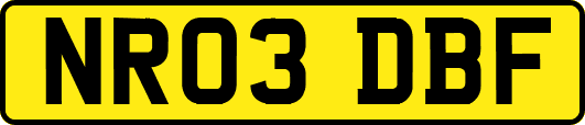 NR03DBF