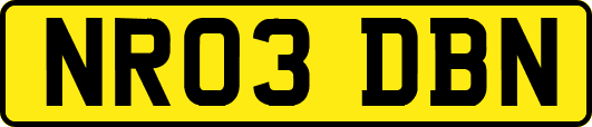 NR03DBN