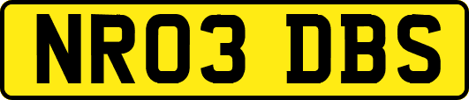 NR03DBS