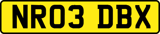 NR03DBX