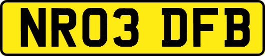 NR03DFB