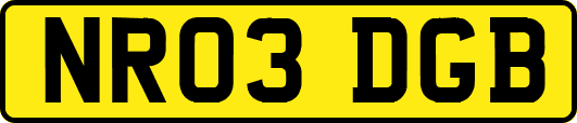 NR03DGB