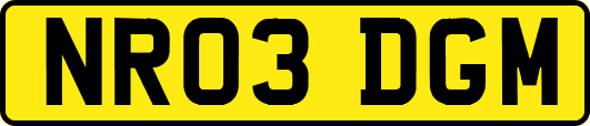 NR03DGM