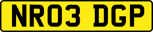 NR03DGP