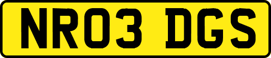 NR03DGS
