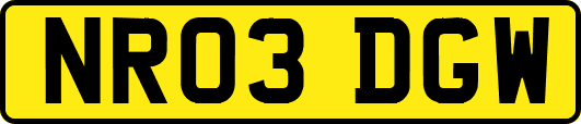 NR03DGW