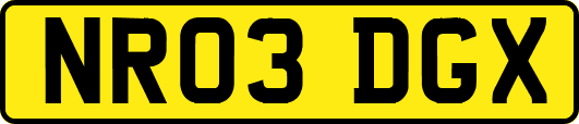 NR03DGX