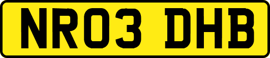 NR03DHB
