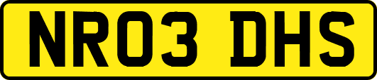 NR03DHS