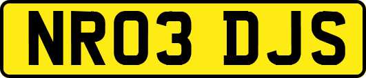 NR03DJS