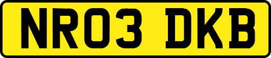 NR03DKB