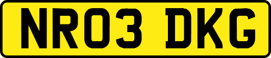 NR03DKG