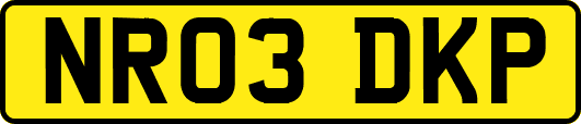 NR03DKP