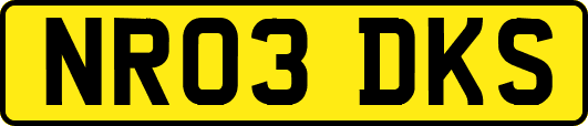 NR03DKS