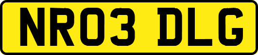 NR03DLG