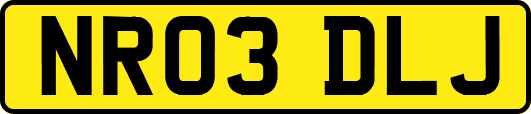 NR03DLJ