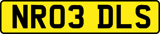 NR03DLS