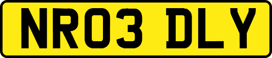 NR03DLY