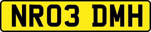 NR03DMH