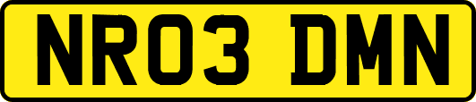 NR03DMN