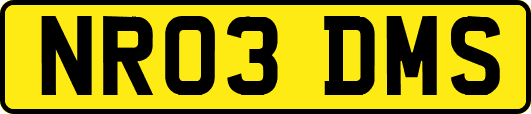 NR03DMS