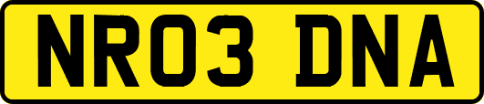NR03DNA