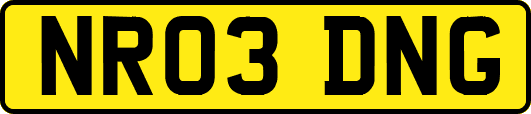 NR03DNG