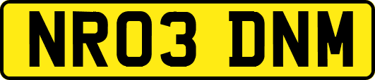 NR03DNM