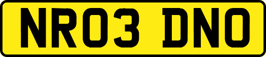 NR03DNO