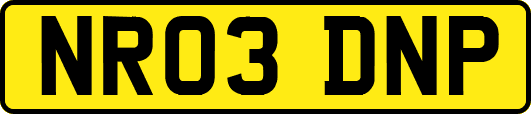 NR03DNP