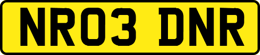 NR03DNR