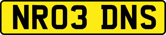 NR03DNS