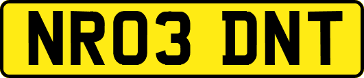 NR03DNT