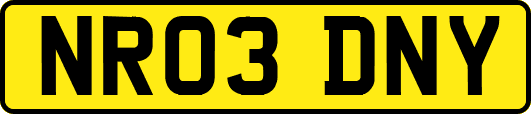 NR03DNY