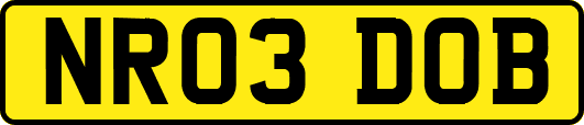 NR03DOB