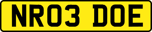 NR03DOE