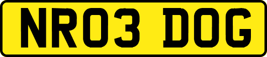 NR03DOG