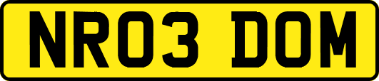 NR03DOM