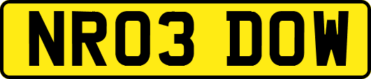 NR03DOW