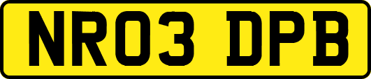 NR03DPB