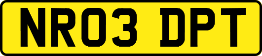 NR03DPT