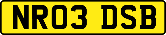 NR03DSB