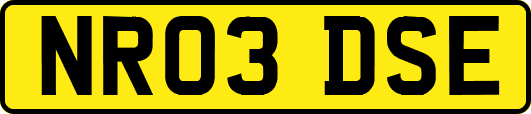 NR03DSE