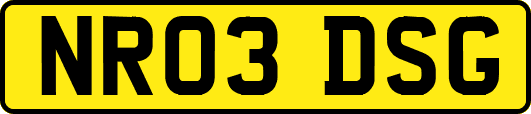 NR03DSG