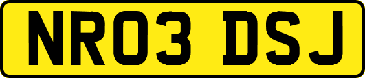 NR03DSJ