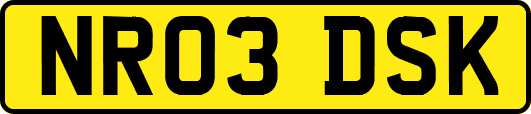 NR03DSK
