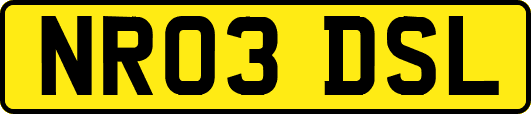NR03DSL