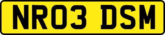 NR03DSM