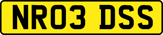 NR03DSS